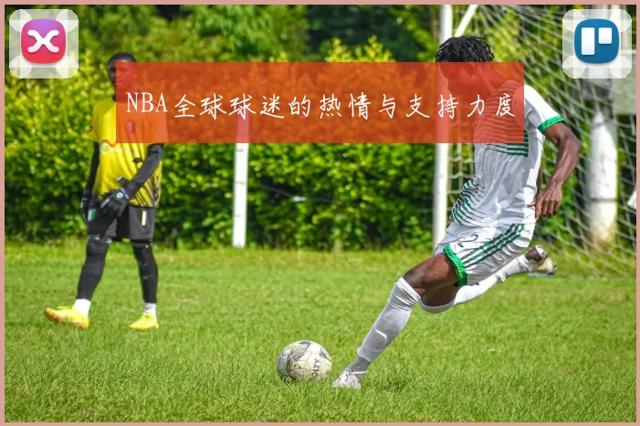NBA全球球迷的热情与支持力度