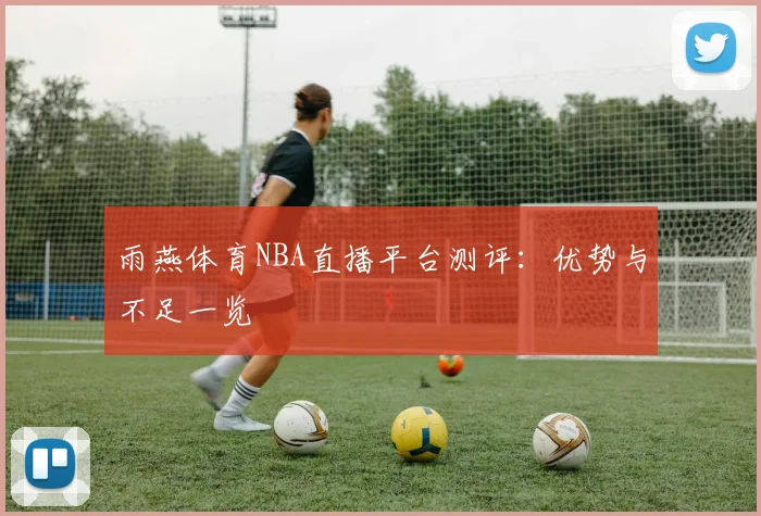 雨燕体育NBA直播平台测评：优势与不足一览