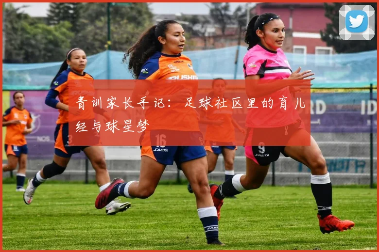 青训家长手记：足球社区里的育儿经与球星梦