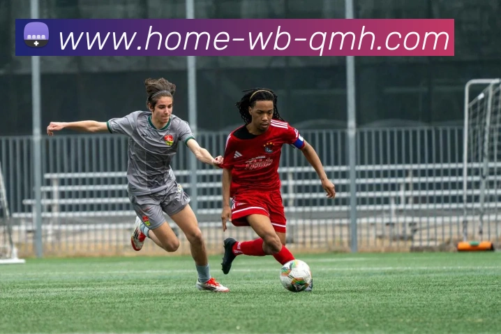 多媒体互动体验